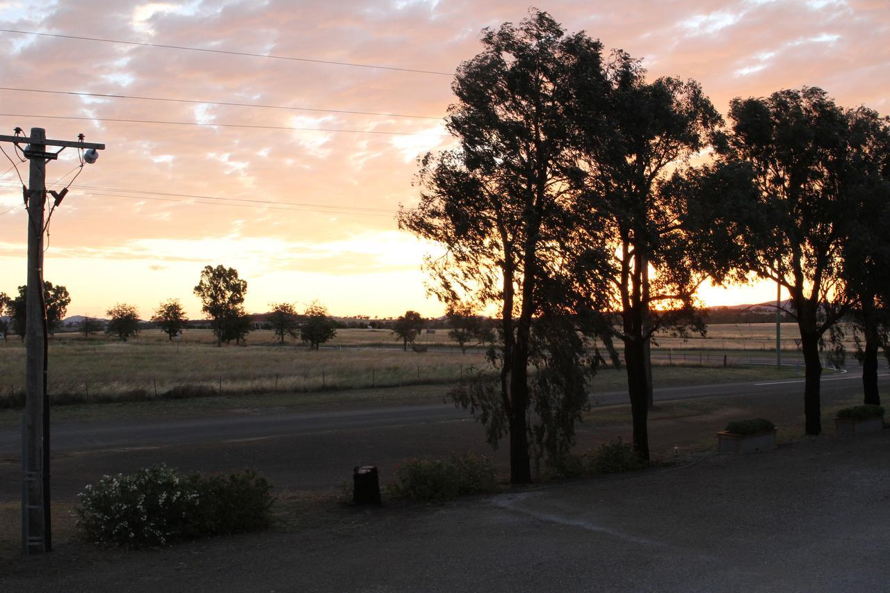 Lights Campsite Tamworth